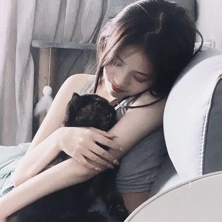 猎头行动