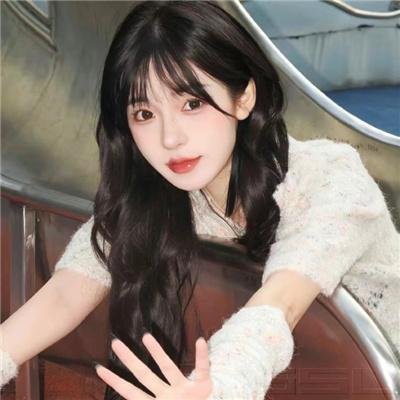 一支丁香花